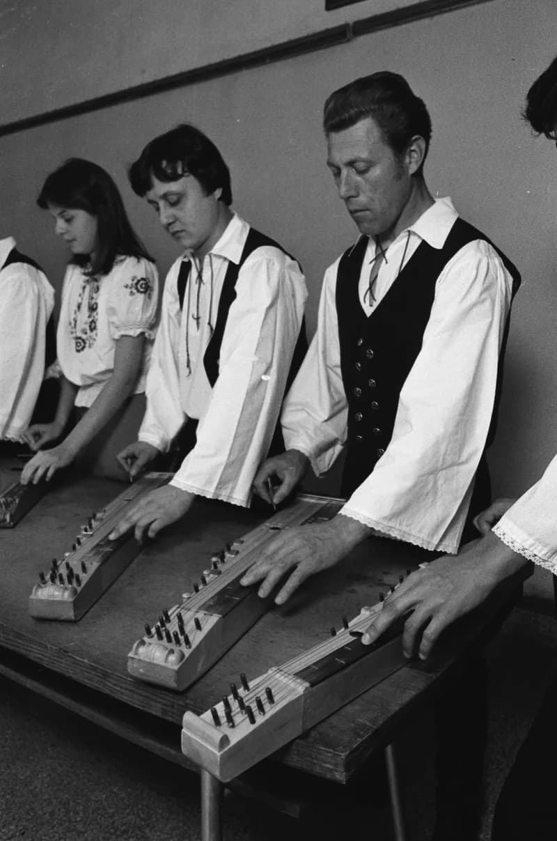 Csóka zither players