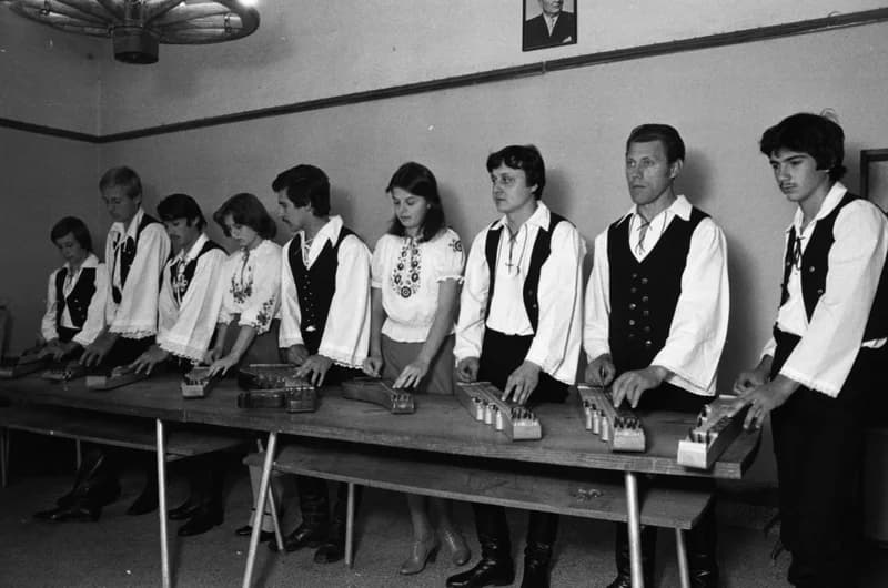 Csóka zither players