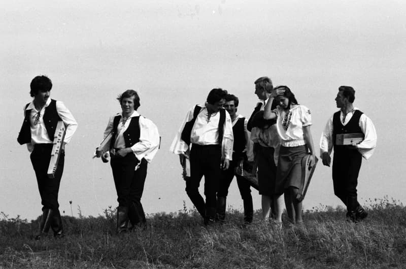 Csóka zither players