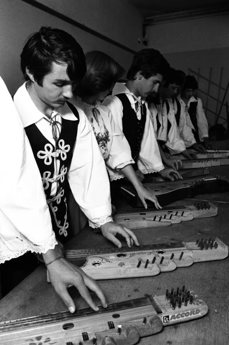 Csóka zither players