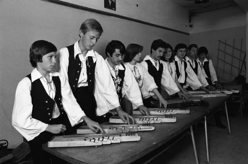 Csóka zither players