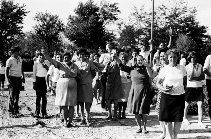 Wedding in Novi Itebej