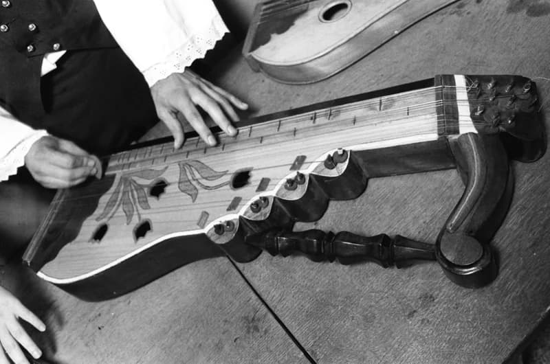 Csóka zither players