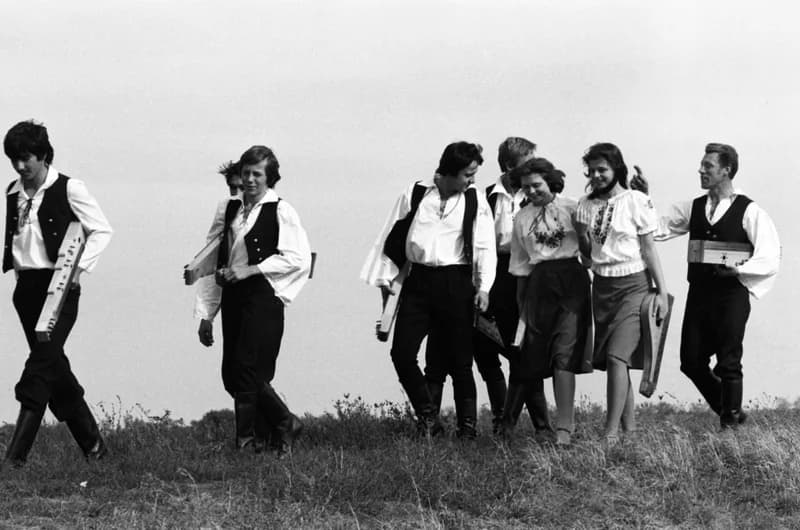 Csóka zither players