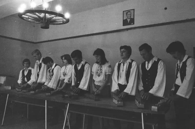 Csóka zither players