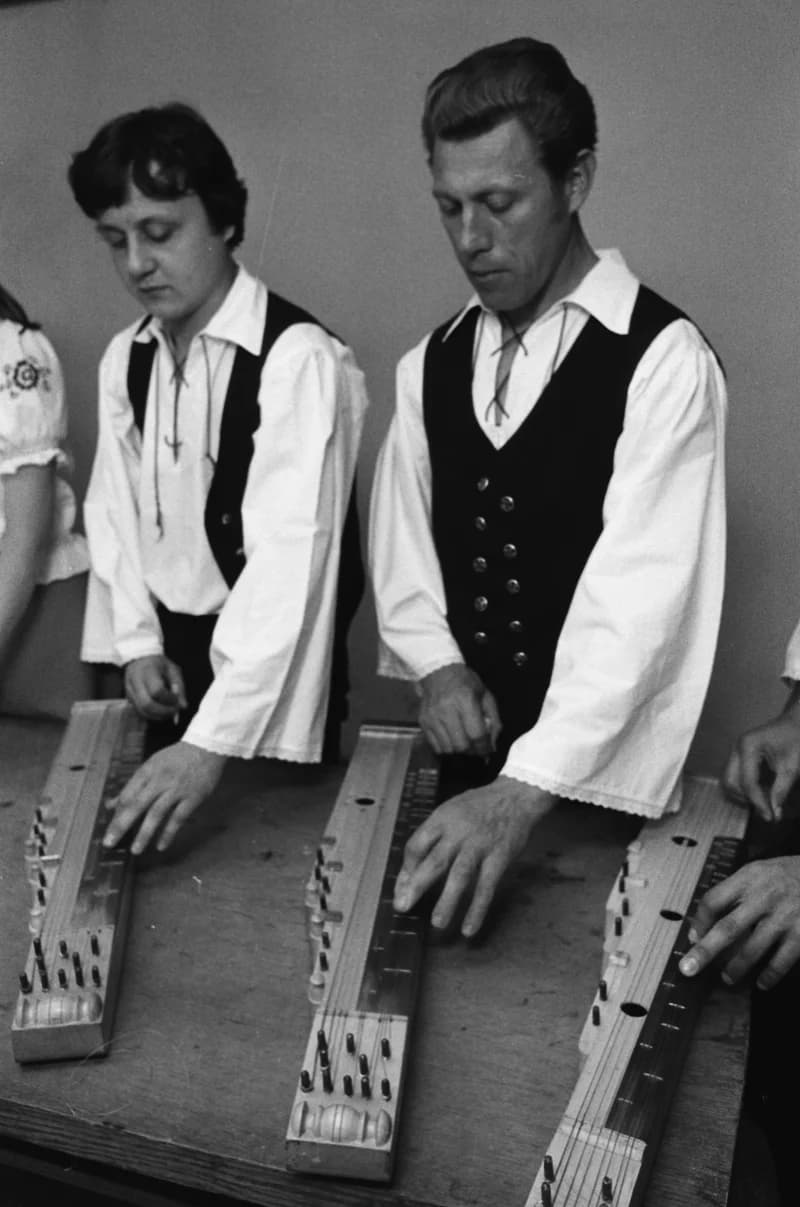 Citerists from Csóka