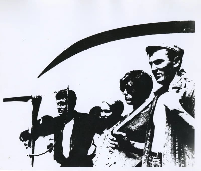 Mátyás Németh's Collection